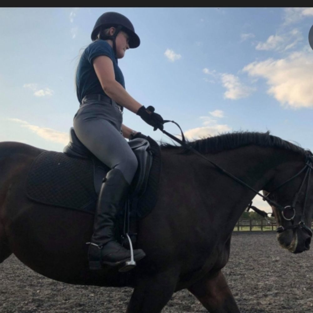 Ariat equestrian grey and green riding pants breeches - Picture 2 of 11